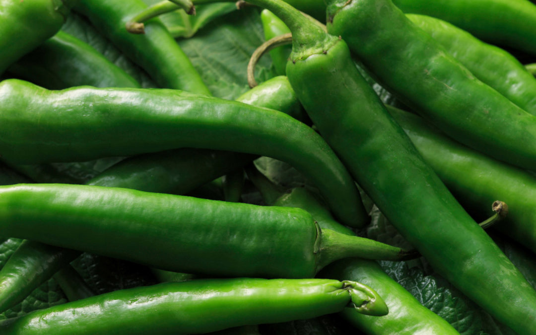 Baklouti Green Chili olive oil