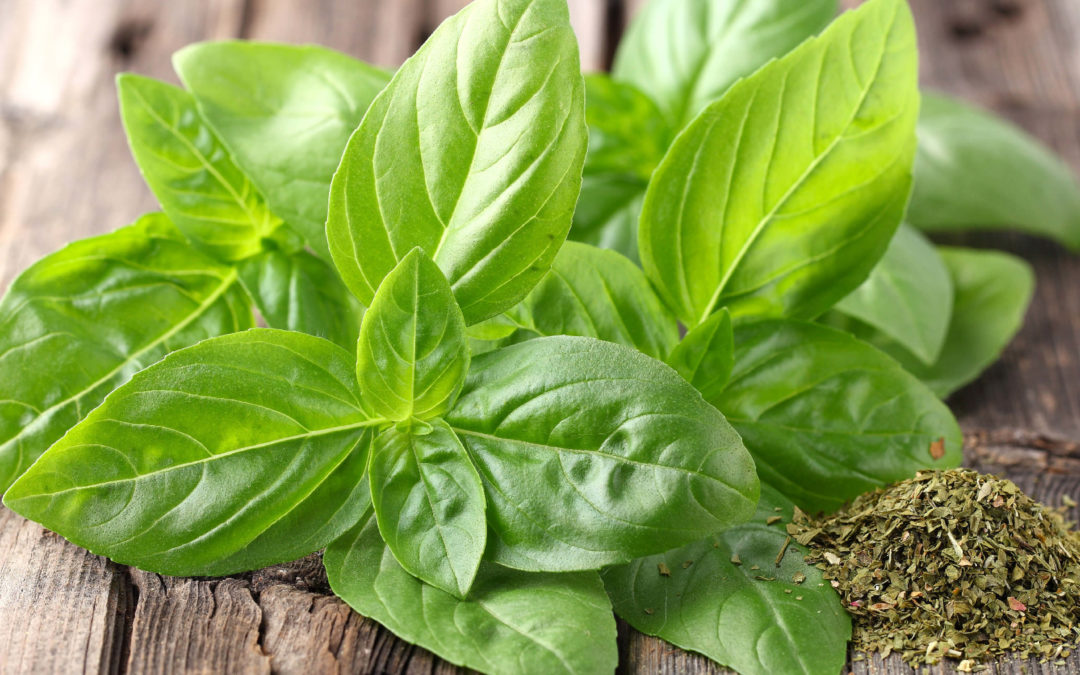 Basil Olive Oil