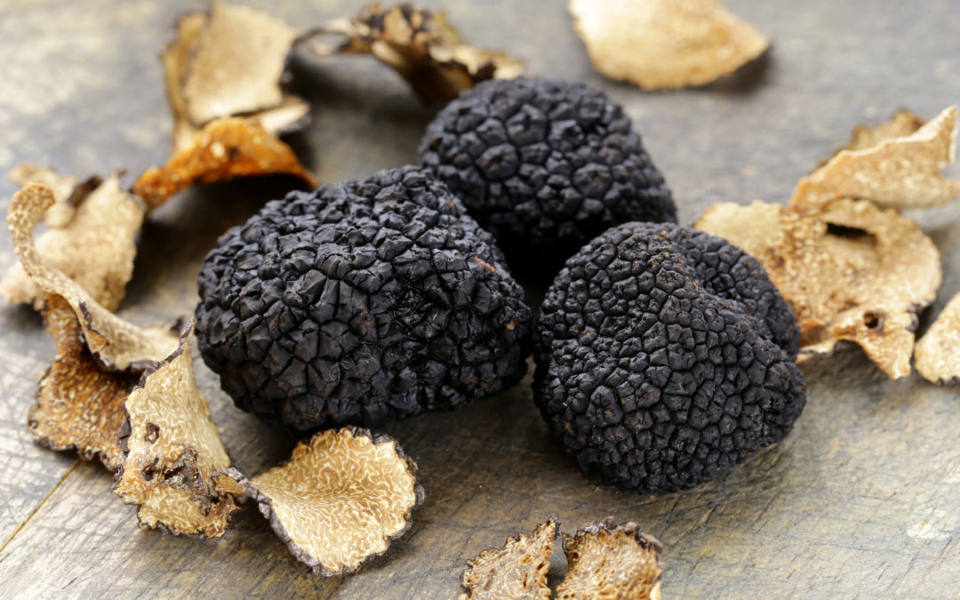 Black Truffle Olive Oil