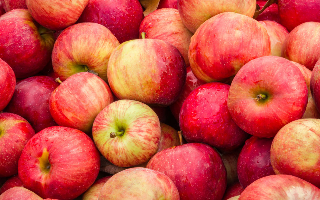 Gravenstein Apple Balsamic