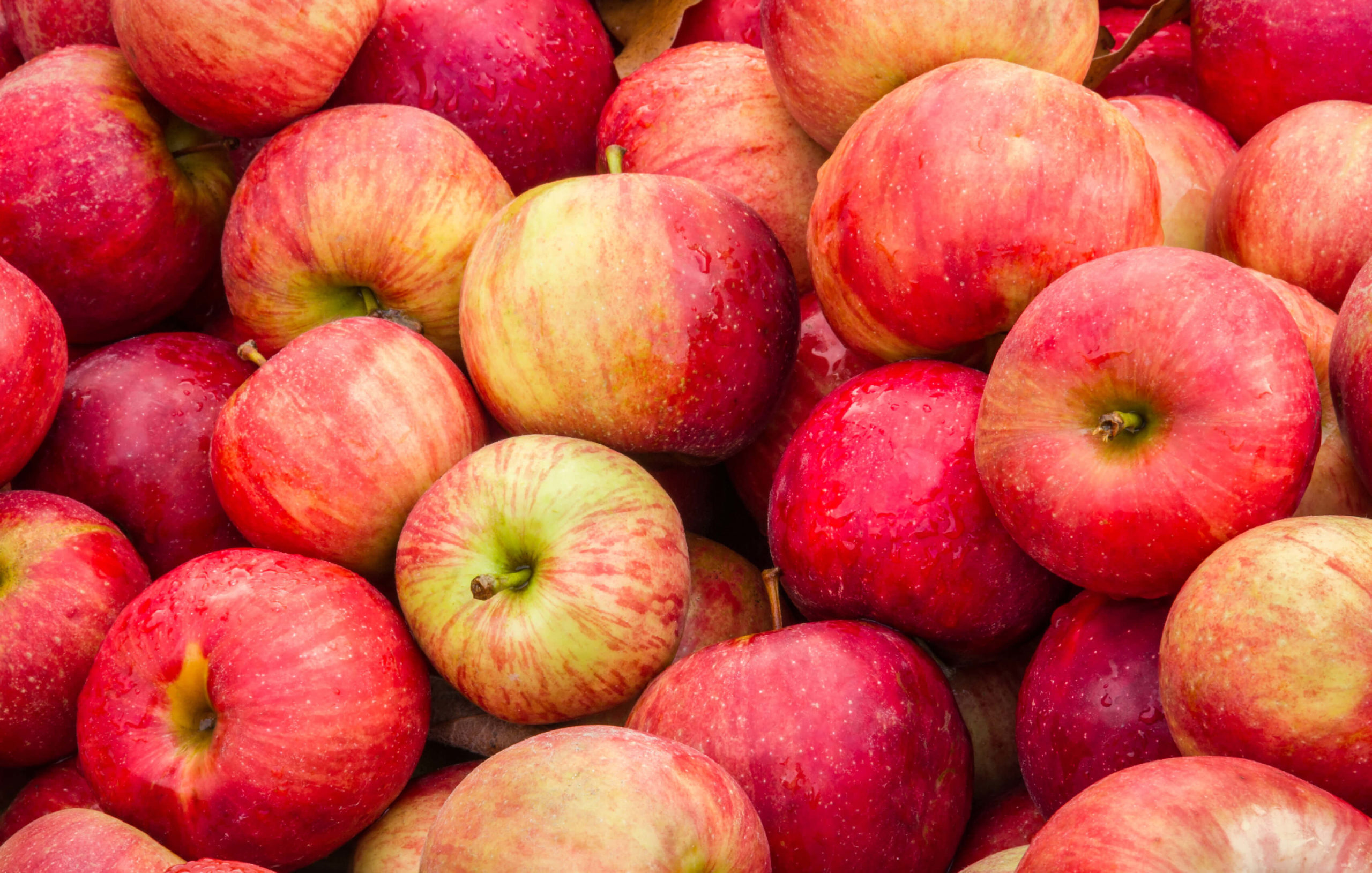 Recipes_Simple_GravensteinAppleBalsamic