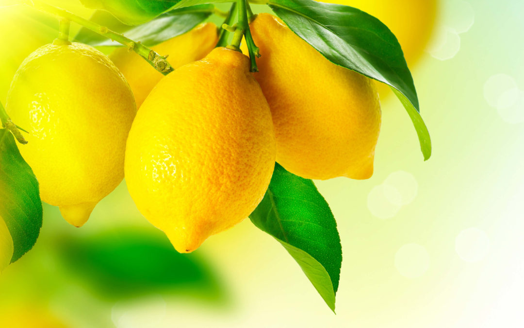 Lemon Olive Oil