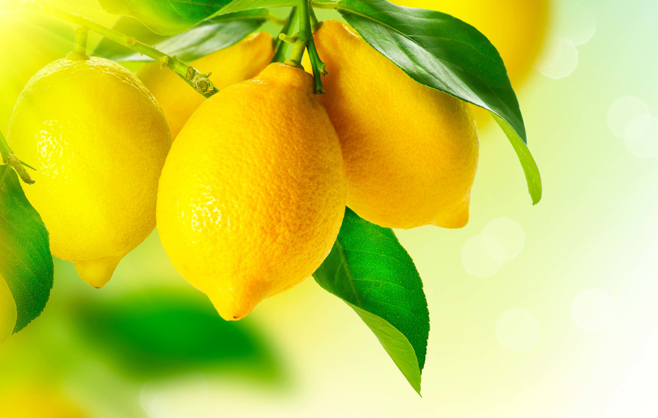 Recipes_Simple_LemonOliveOil