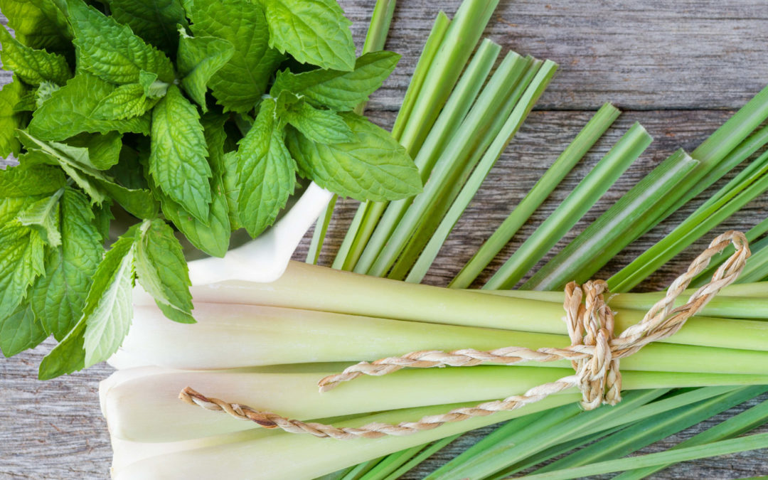 Lemongrass Mint Balsamic