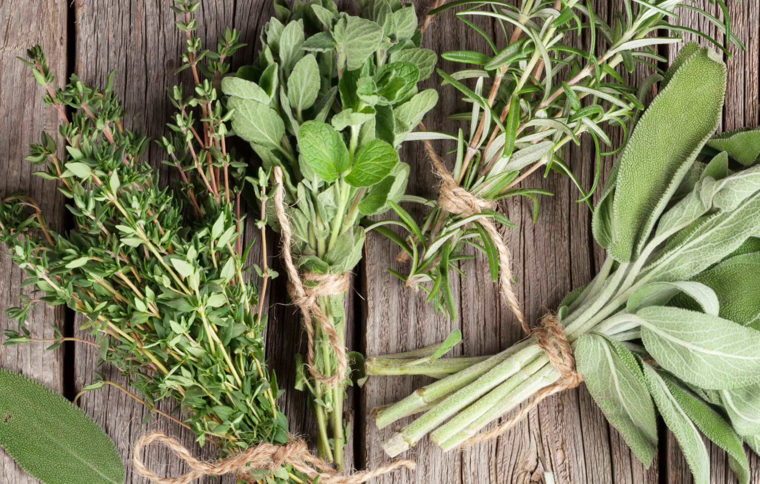 Recipes_Simple_NeapolitanHerbBalsamic