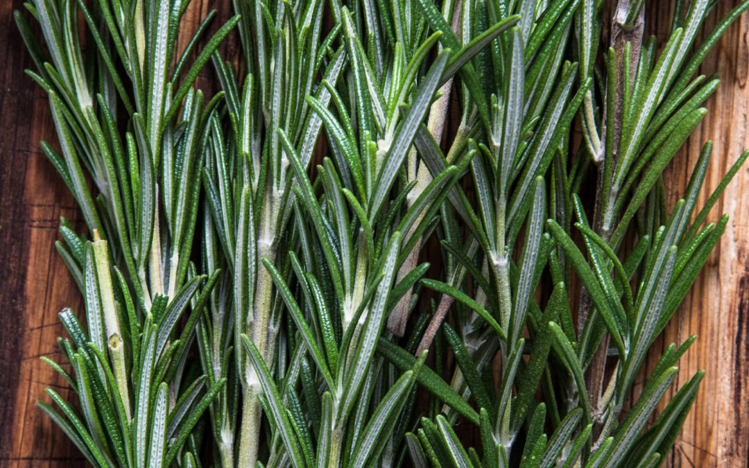Rosemary olive oil