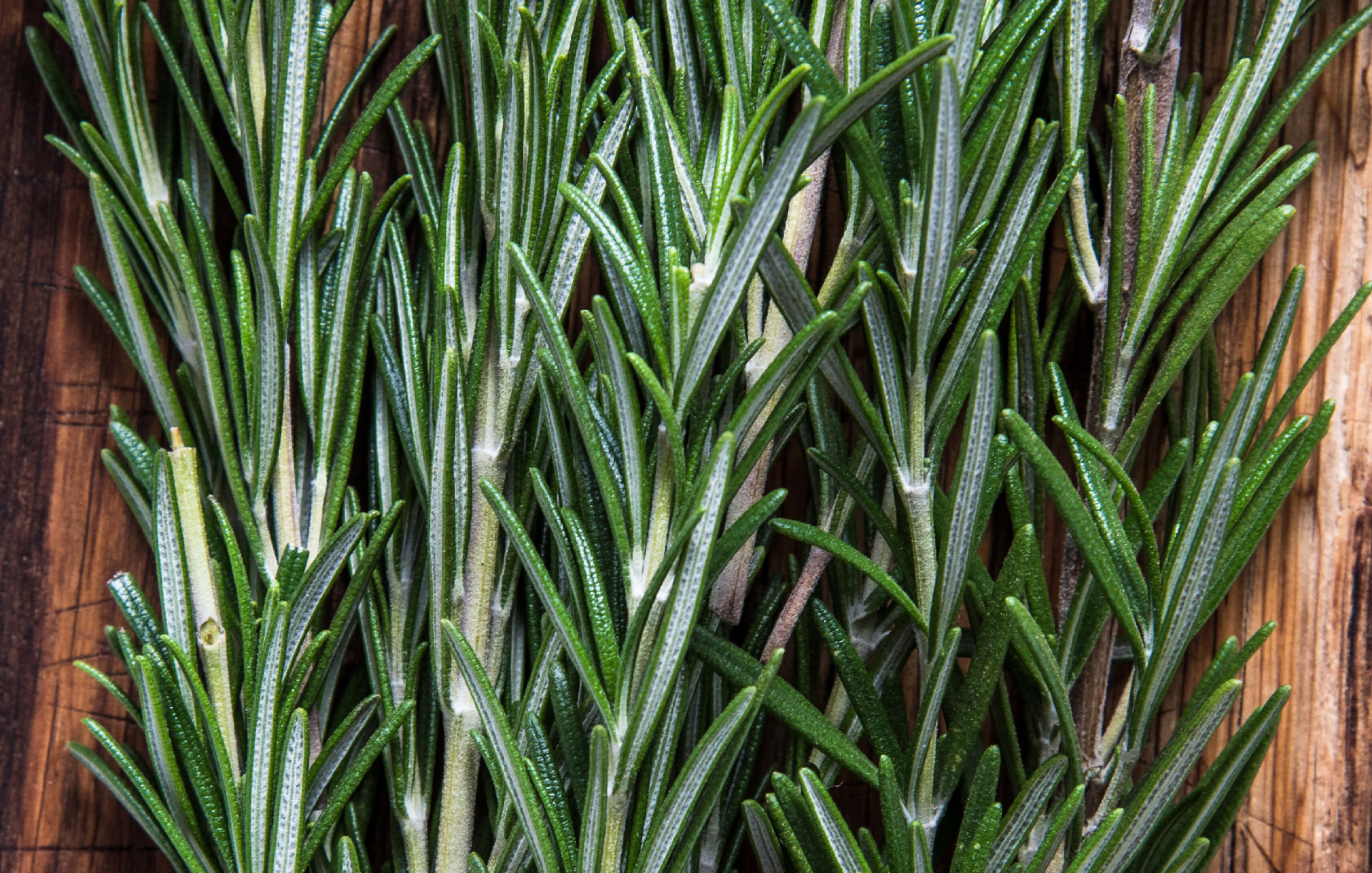 Recipes_Simple_RosemaryOliveOil