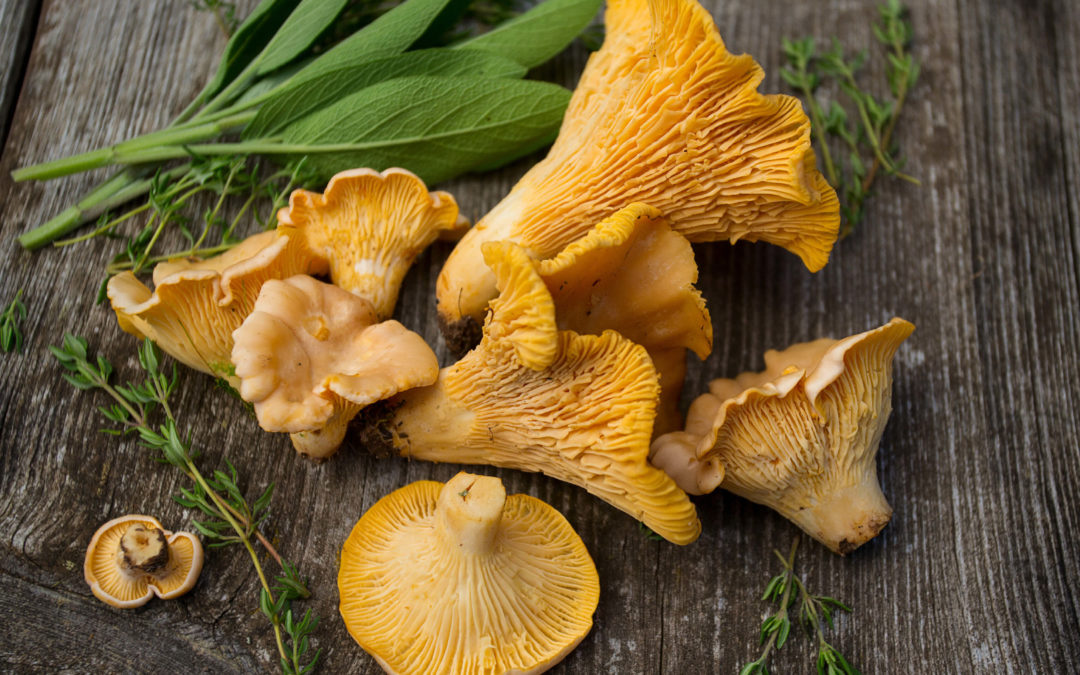 Wild Mushroom And Sage Olive Oil