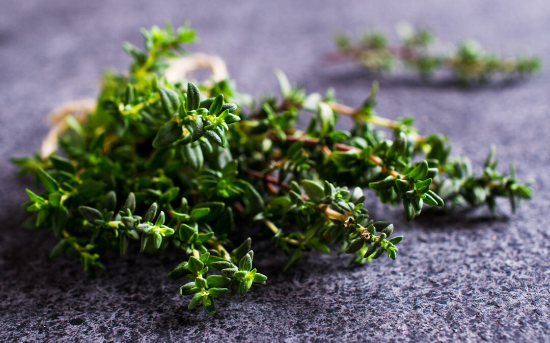Thyme Olive Oil